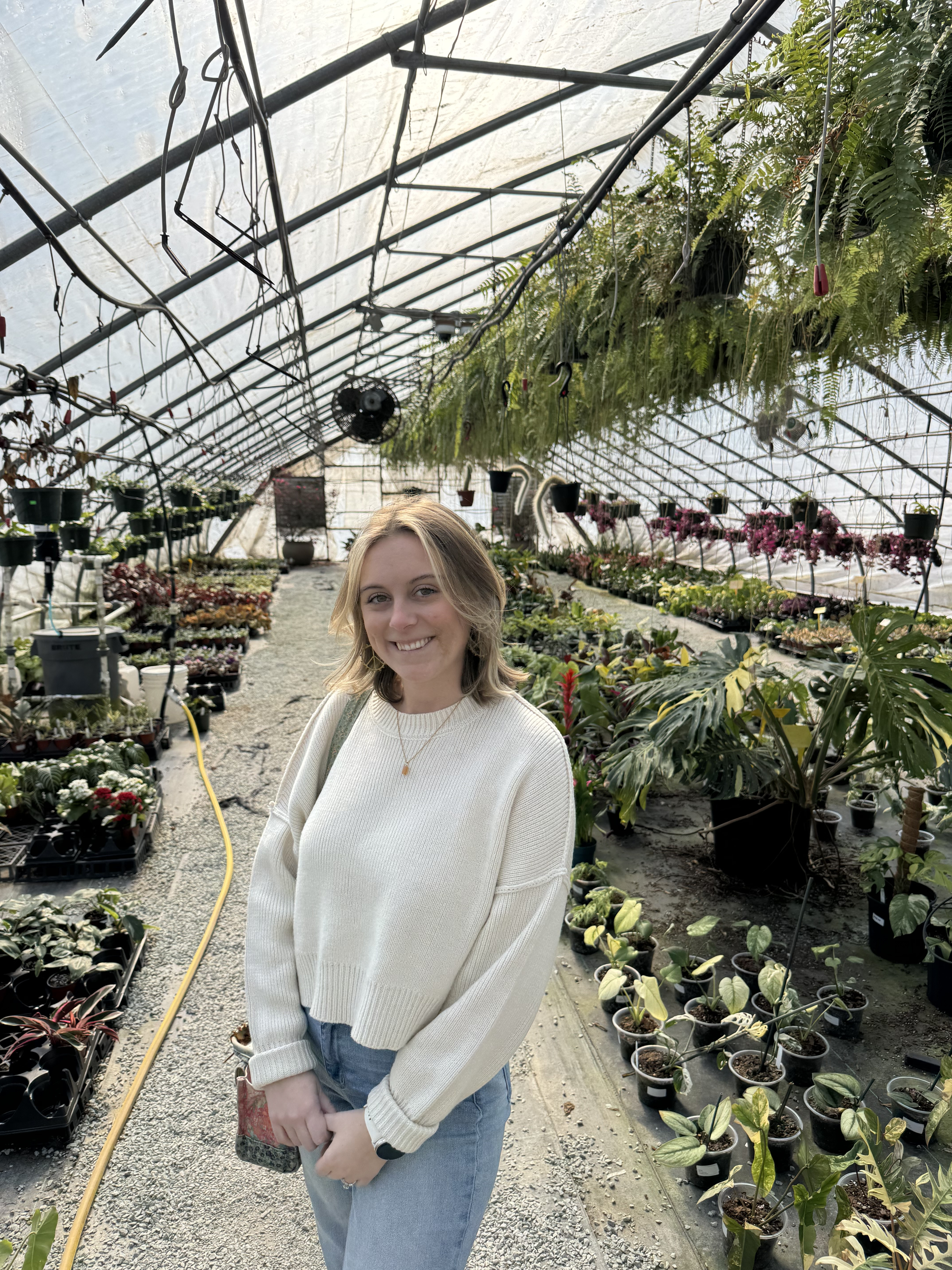 Lindsay's plants